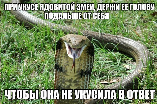 1547921861426.png