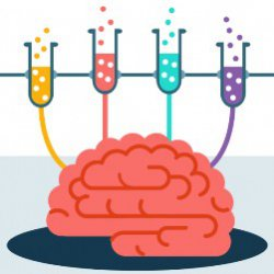 1561061964718.png