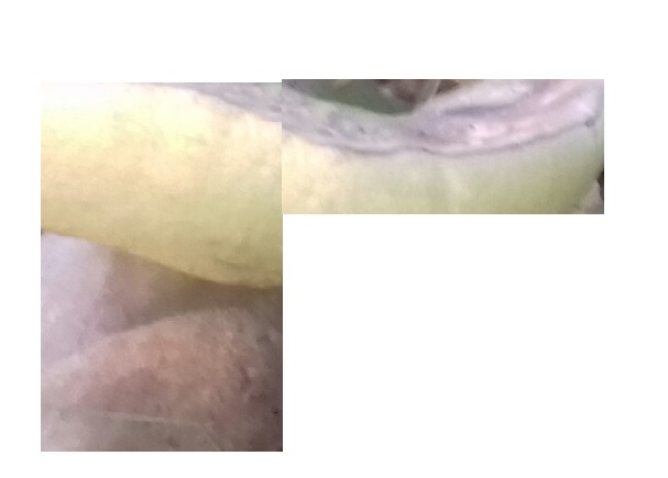 20190605_162205-1.jpg