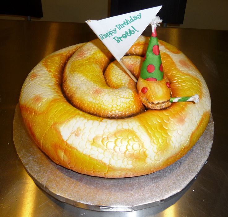 532f49e99433d2fdbf10c0746c75c8de--snake-party-snake-cakes.jpg