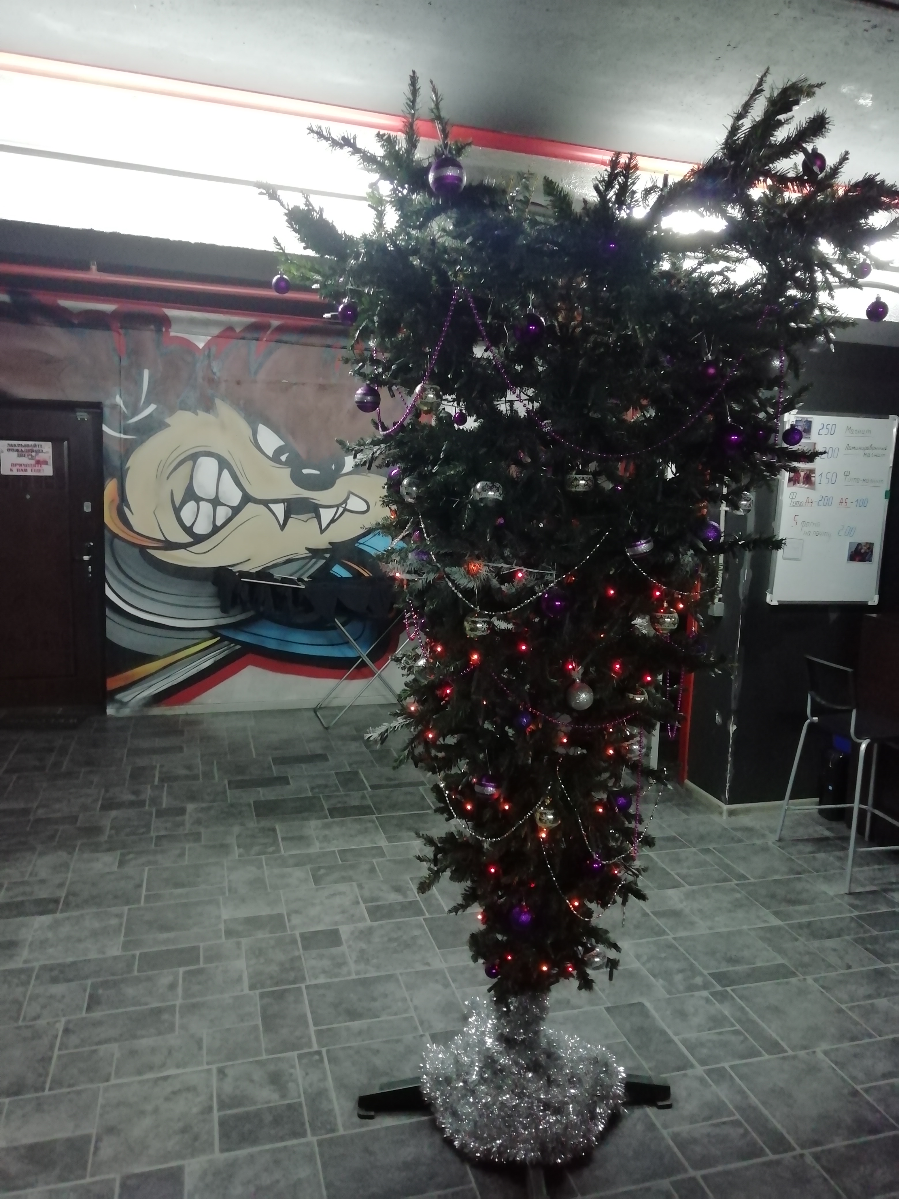 IMG_20191209_184212.jpg