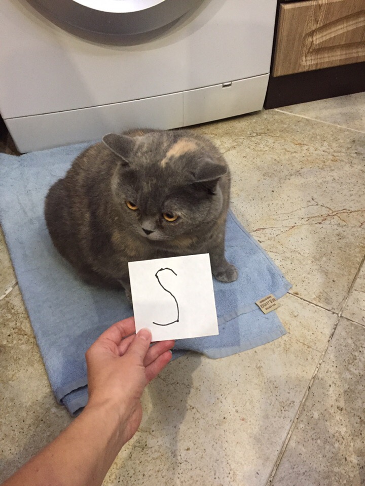 тоня2.jpg