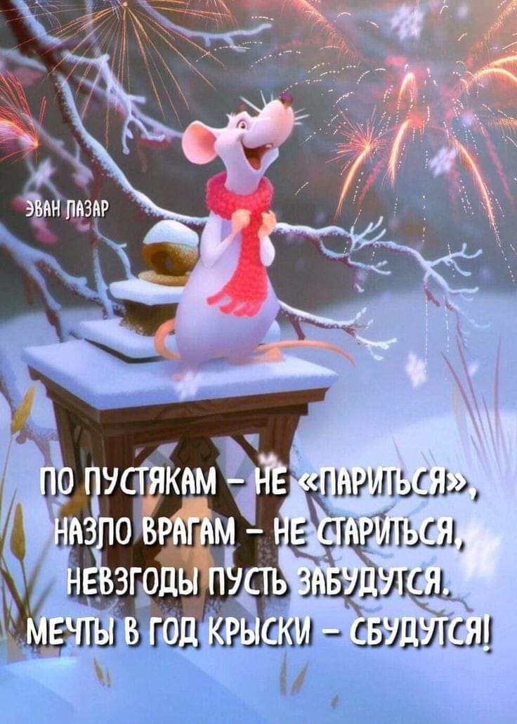 WhatsApp Image 2019-12-31 at 21.58.16.jpeg